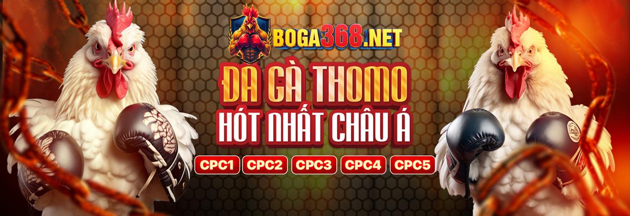 Biểu đồ minh họa luồng dữ liệu cookie cải thiện trải nghiệm người dùng và bảo mật trên bec88